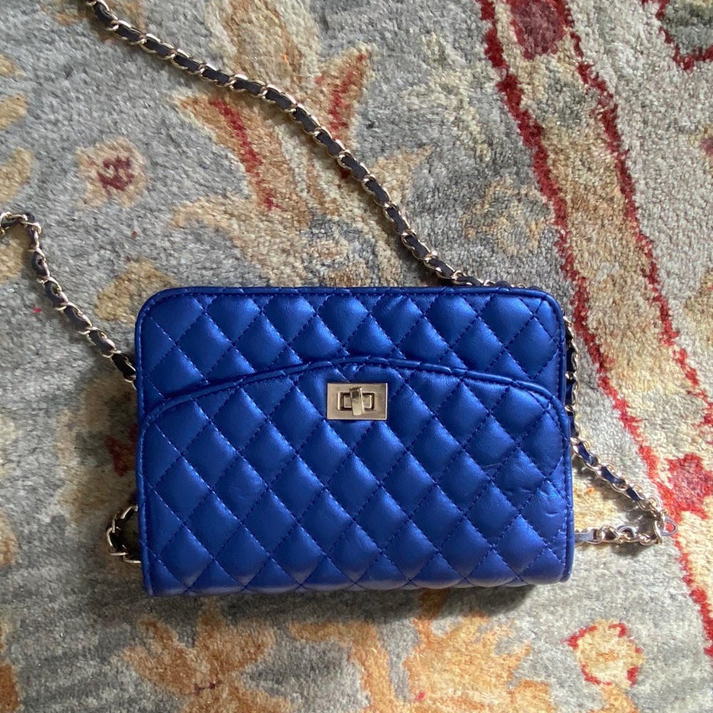 Blue small Purse